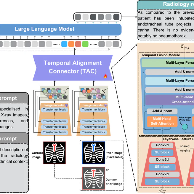 Libra: Leveraging Temporal Images for Biomedical Radiology Analysis