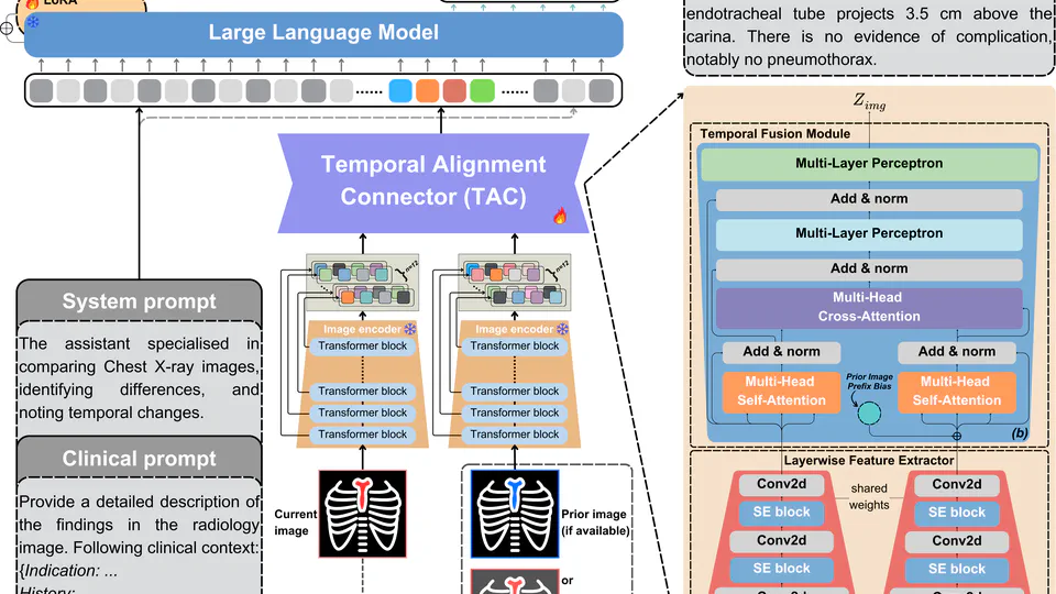 Libra: Leveraging Temporal Images for Biomedical Radiology Analysis